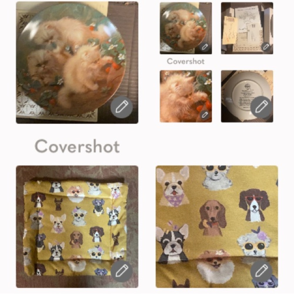 Strawberries & cream Persians plates w papers+8”🐾Dogs🐕hot plate/pot holder